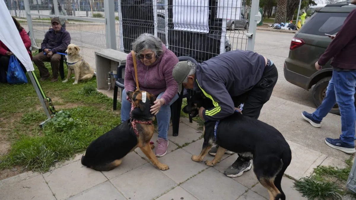 Vecinos de villa El Portal esterilizan perros y gatos