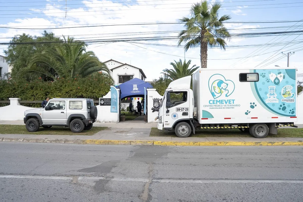 Avanza implementación Clínica Veterinaria Municipal Coquimbo