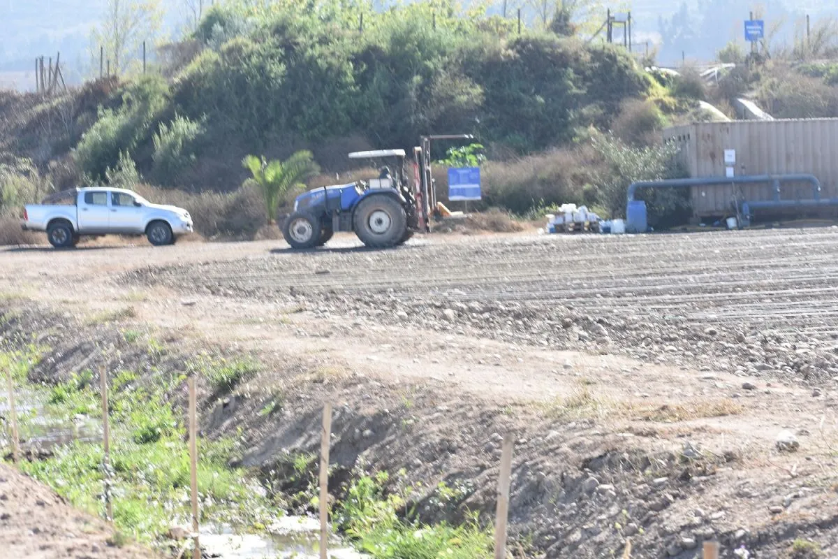 Robos afectan competitividad agrícola regional Robos afectan competitividad agrícola regional