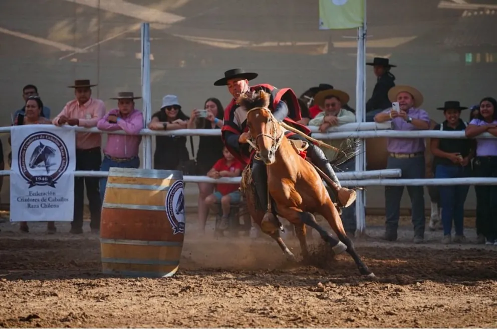 Durante septiembre, la Asociación de Criadores de Caballos Chilenos del Limarí intensifica sus actividades y encuentros ligados a las tradiciones ecuestres. (Foto: Cedida)