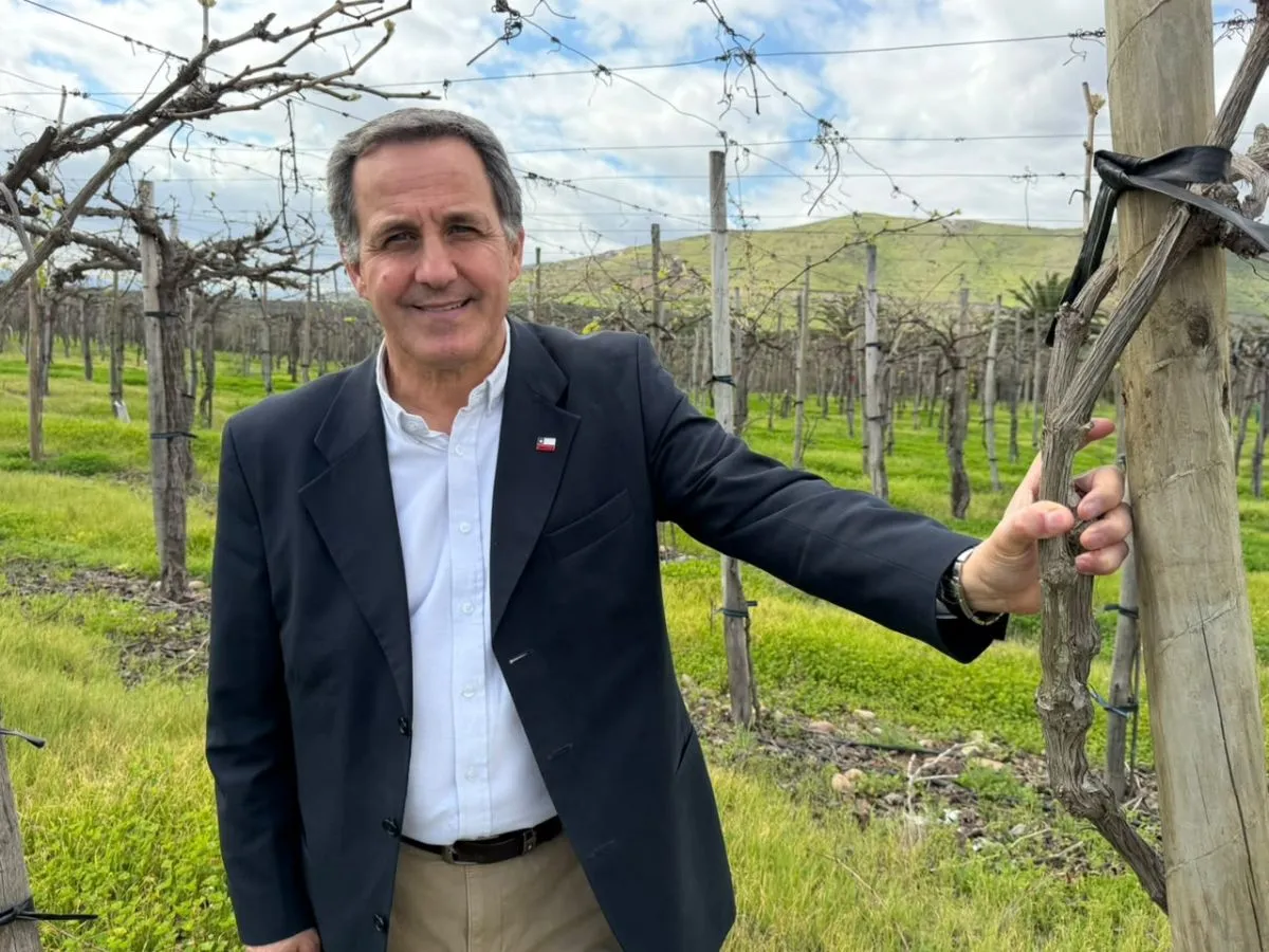 Beneficios del seguro agrícola en Ovalle, Región de Coquimbo Beneficios del seguro agrícola en Ovalle, Región de Coquimbo