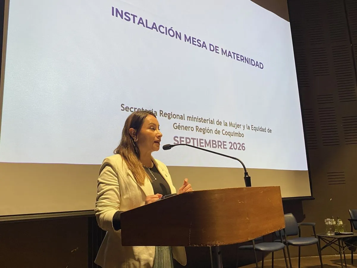 Región instala Mesa de Maternidad para avanzar en políticas públicas de corresponsabilidad y cuidados