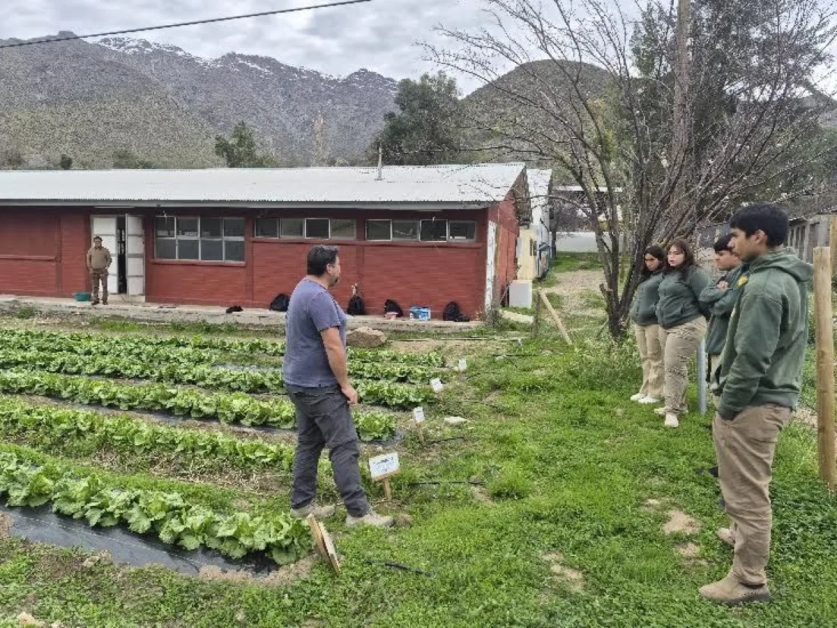 Estudiantes experimentan con cultivos para buscar alternativas de recuperación de suelos