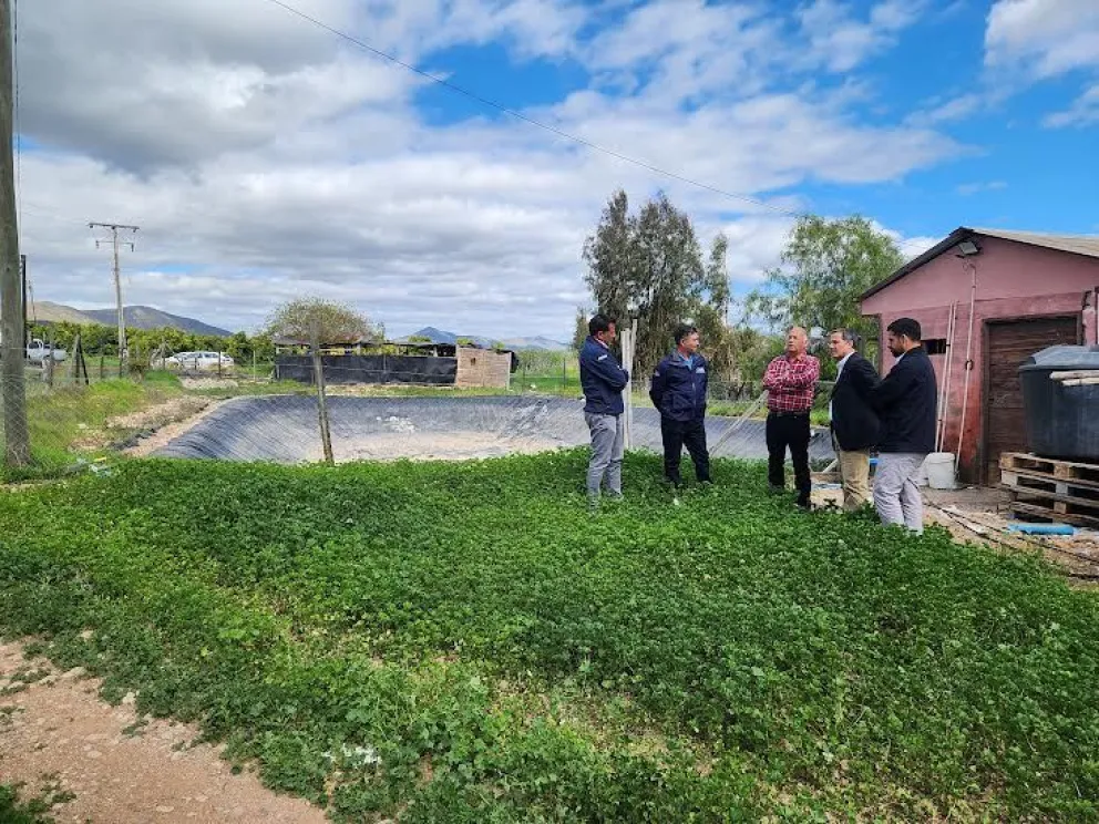 El agricultor también destacó que el estanque le permite regular mejor el agua y que ahora puede incorporar fertilizantes directamente al sistema de riego