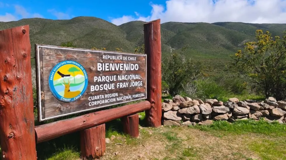 Luego de un proceso de evaluación, coordinación y trabajo en terreno, CONAF concretó la reapertura de estas áreas, permitiendo nuevamente el ingreso de visitantes y recuperando importantes destinos naturales de la Región de Coquimbo.