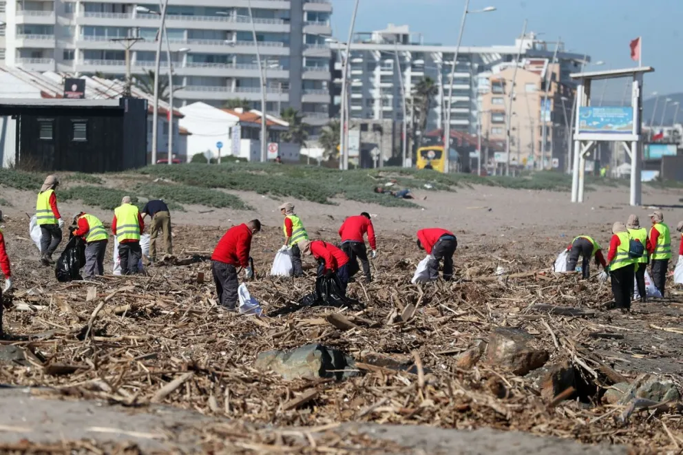 Desde el primer día que los equipos municipales, apoyo de la Defensa Civil y voluntarios, La Serena han trabajado en la recuperación del borde costero tras el temporal que arrastró toneladas de sedimentos y residuos desde las quebradas y el río Elqui.