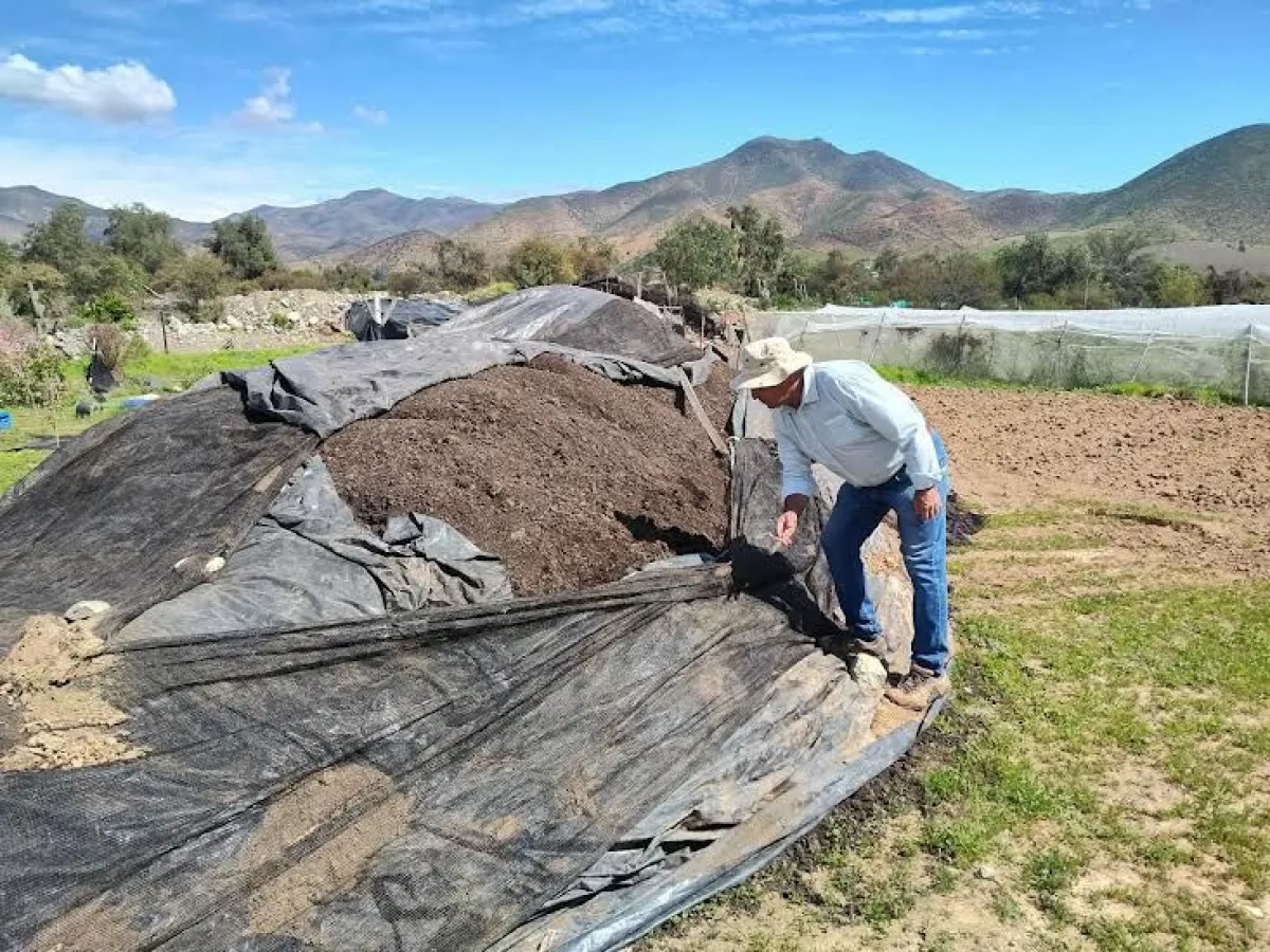 INDAP entrega 220 metros cúbicos de compost a agricultores en Monte Patria INDAP entrega 220 metros cúbicos de compost a agricultores en Monte Patria