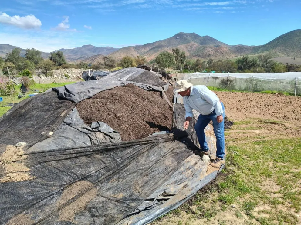 En esa línea, el Instituto de Desarrollo Agropecuario (INDAP) cofinanció la adquisición de un total de 220 m³ de compost a nueve usuarios de la comuna de Monte Patria.