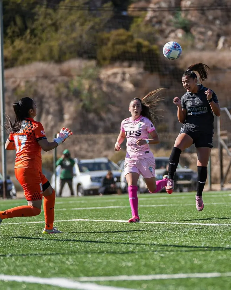 El elenco femenino de Coquimbo Unido se trasladará a Santiago el viernes para enfrentar la ida de los cuartos de final ante Palestino en La Cisterna. (Foto: Coquimbo Unido)