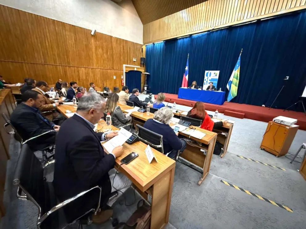 La Escuela de Medicina de la Universidad de La Serena y el Teatro Regional asoman como obras claves para el CORE. (Foto: Cedida)