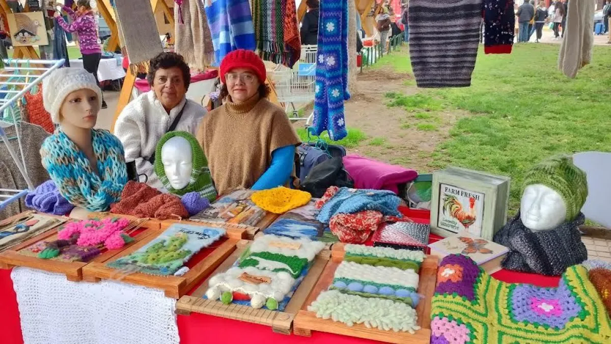 Expo Tejidos de Río Hurtado reunirá a tejedoras de distintas comunas de la región