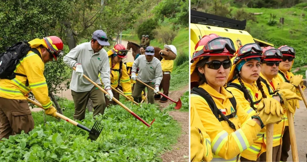 Casi 7.000 empleos temporales para prevención de incendios forestales