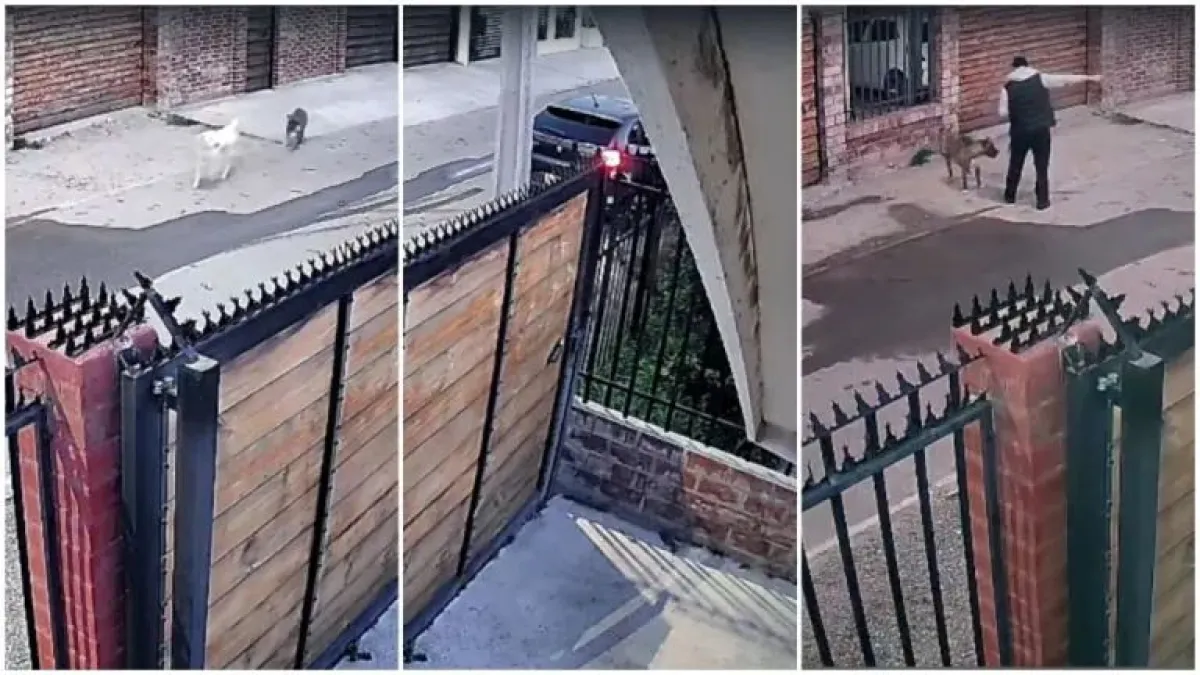 Carabineros abre sumario por caso Polar en Ovalle Carabineros abre sumario por caso Polar en Ovalle