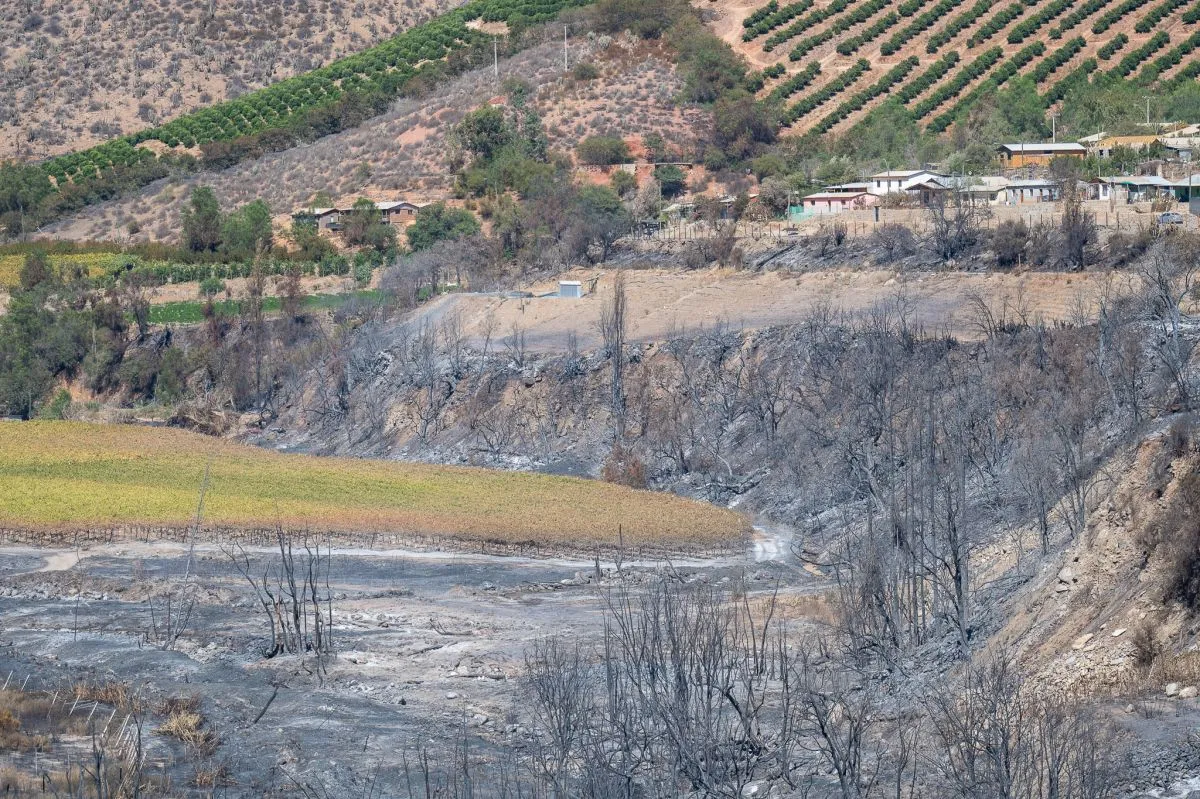Con 100 brigadistas, 8 cuadrillas y un helicóptero inicia plan contra incendios forestales