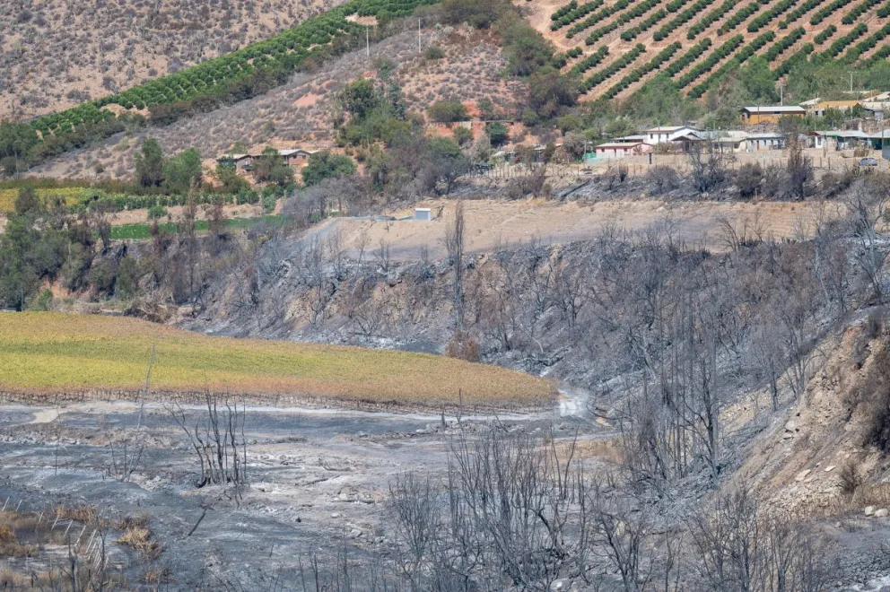 Autoridades llamaron a la prevención ante un verano que se proyecta complejo en materia de incendios forestales. (Fotografía: Cristian Silva)