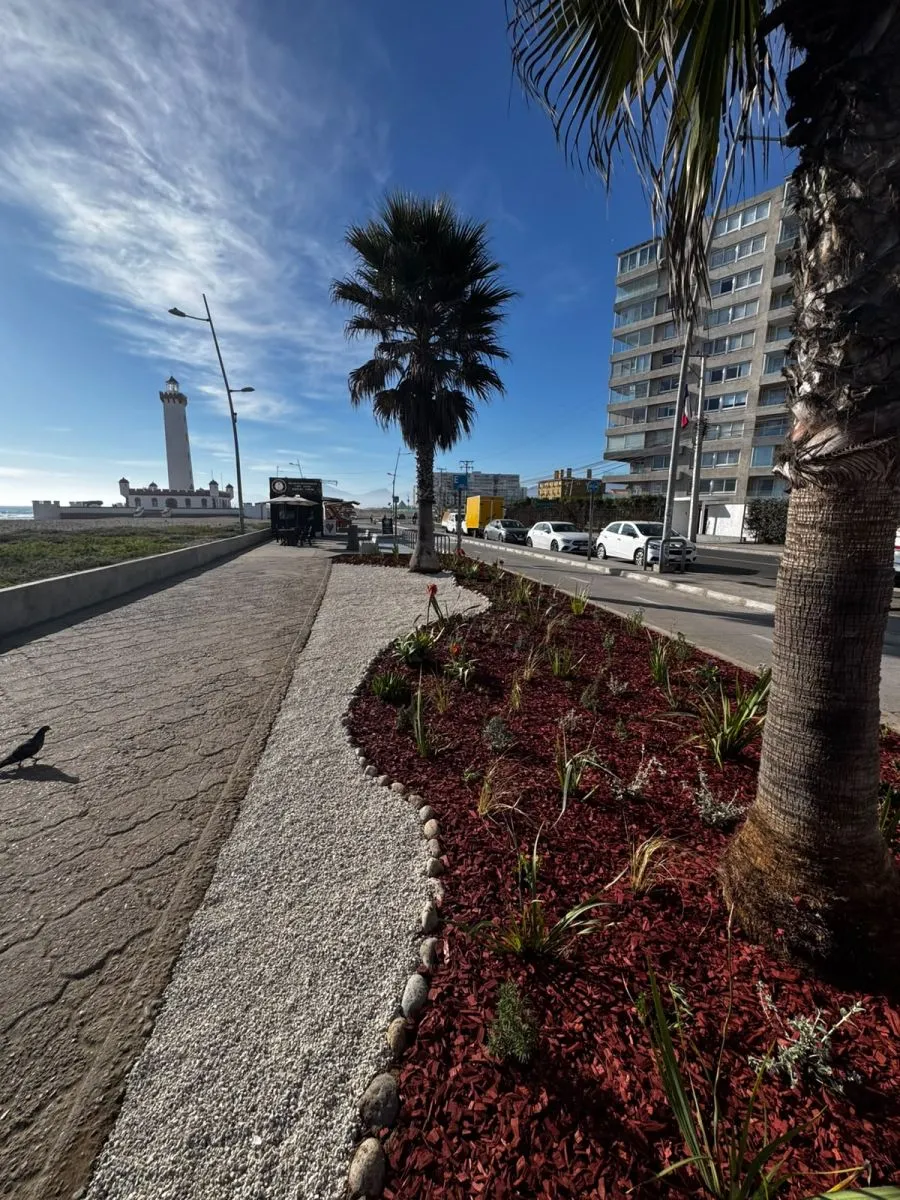 Recuperación de espacios públicos en La Serena con paisajismo sustentable Recuperación de espacios públicos en La Serena con paisajismo sustentable
