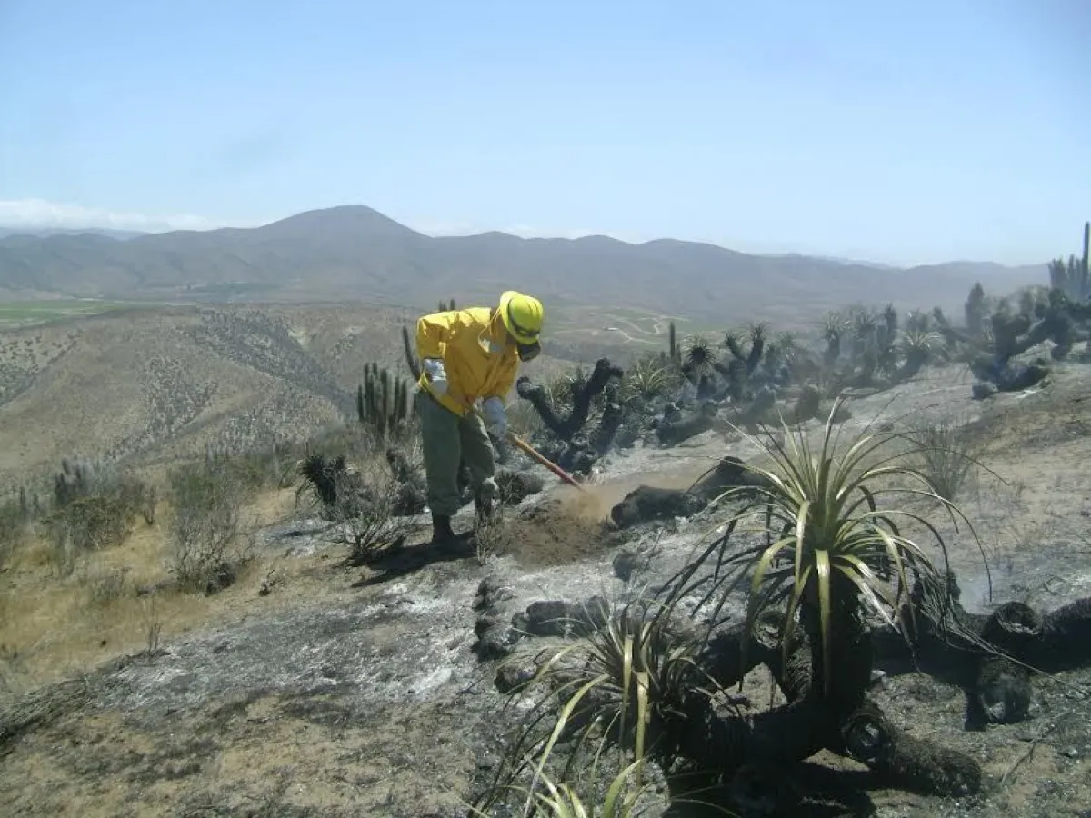 Limarí refuerza prevención incendios: 42% siniestros 2025-2026 Limarí refuerza prevención incendios: 42% siniestros 2025-2026