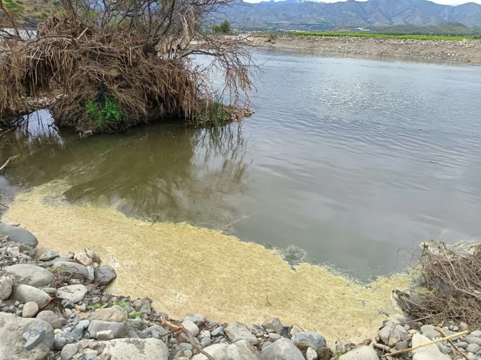 Imagen del material detectado en el cauce del río Huatulame. (Foto: Cedida)
