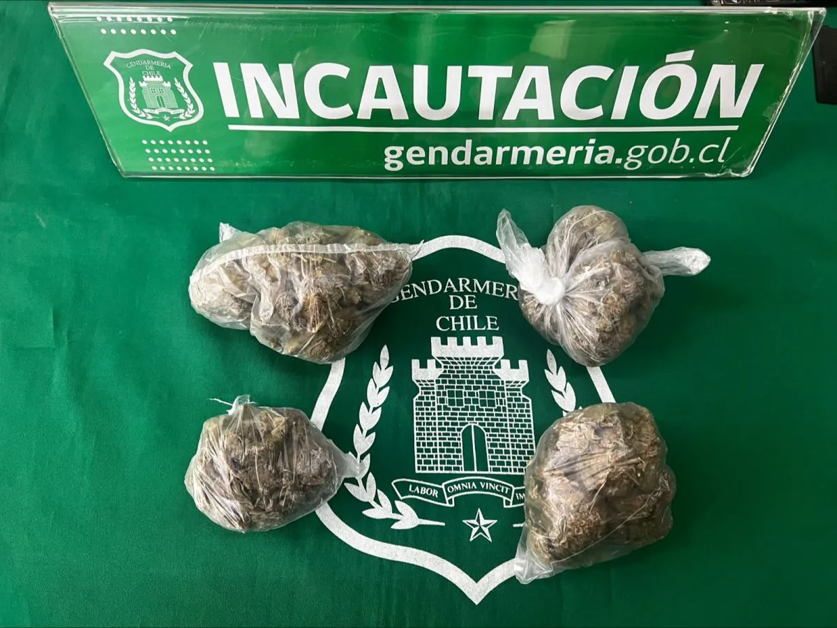 Estaban ocultos en contenedores: Gendarmería incauta sustancias ilícitas en Complejo Penitenciario de La Serena