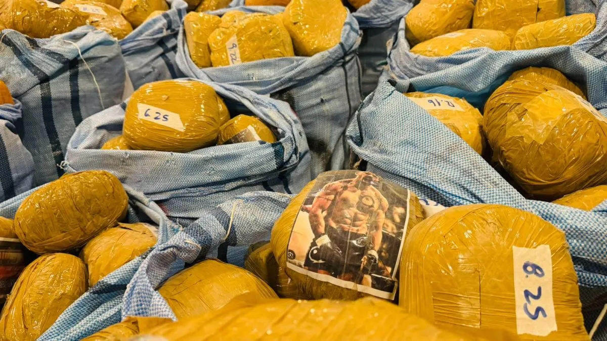 Carabineros decomisa casi media tonelada de droga en la Ruta 5: hay tres detenidos