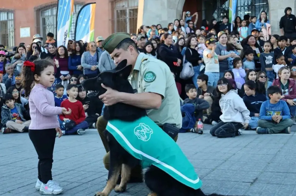 Perros policiales y cachorros cautivan a familias en La Serena Perros policiales y cachorros cautivan a familias en La Serena