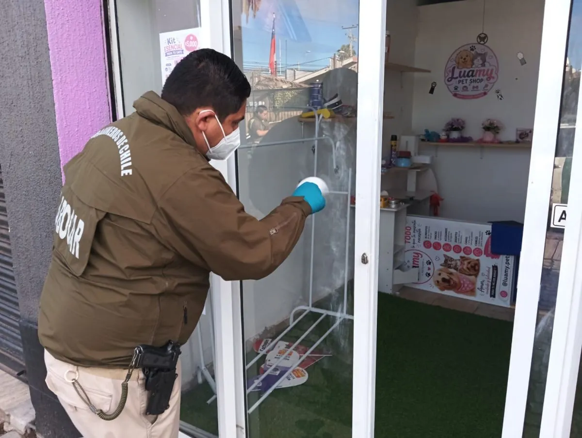 Robos a una joyería y una tienda veterinaria: los dos delitos que investiga Labocar en La Serena