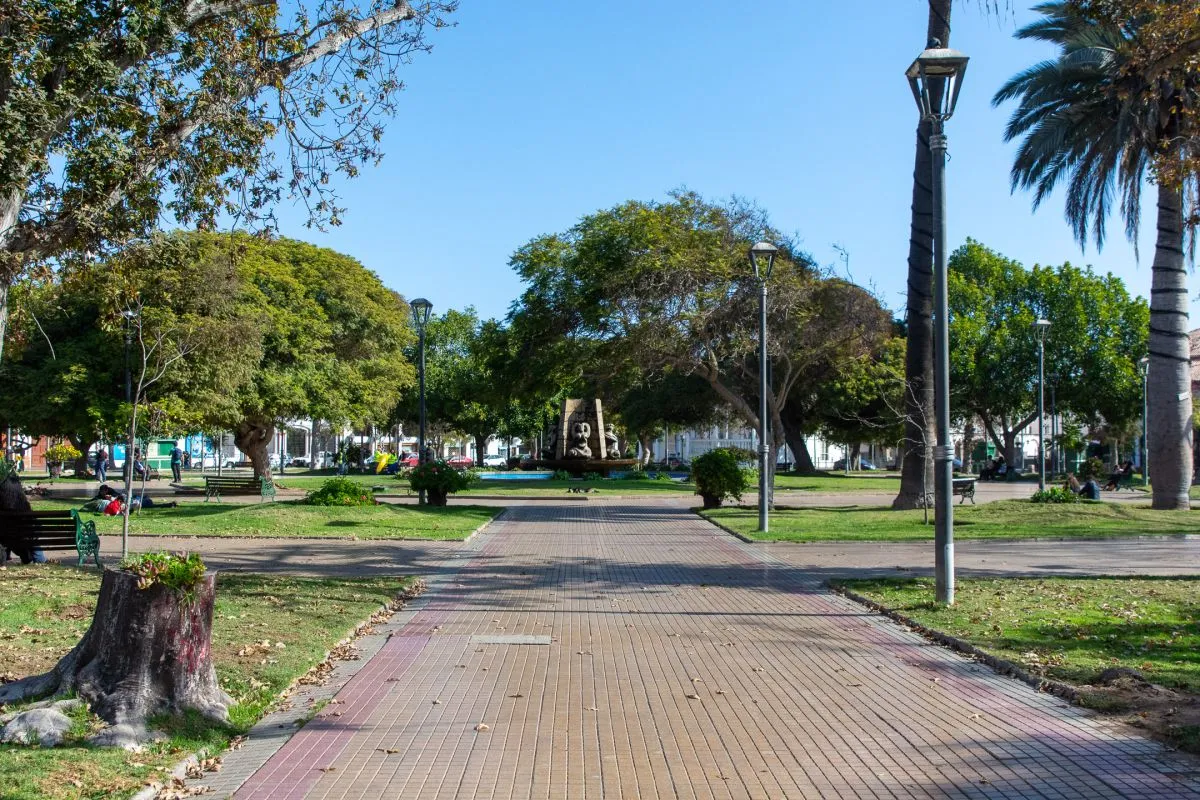 Inversión clave para enfrentar incertidumbre económica Inversión clave para enfrentar incertidumbre económica