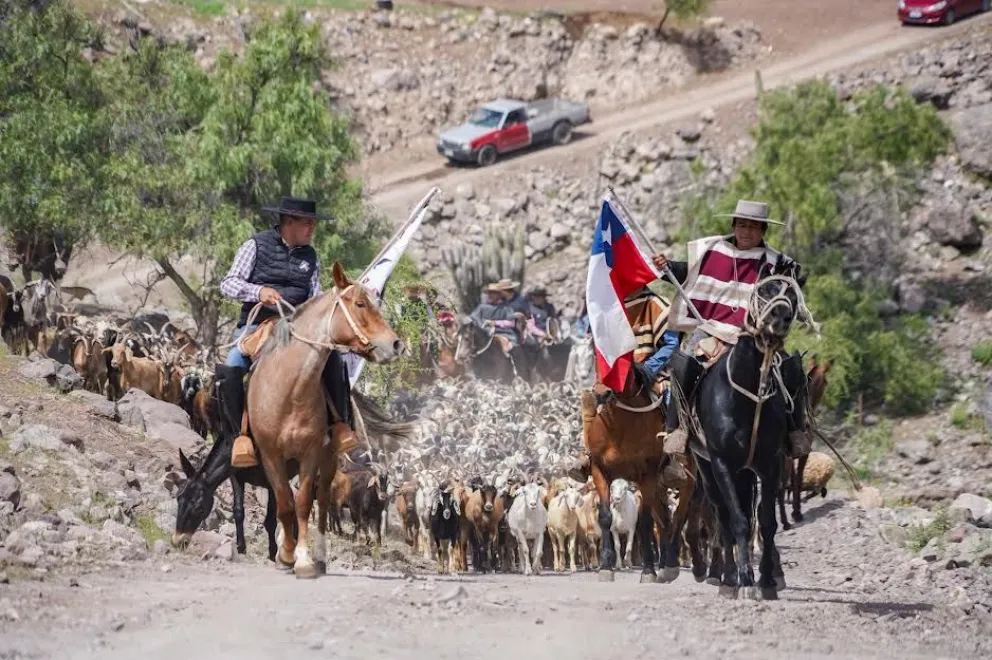 En Monte Patria,  continúan las expresiones campestres de la vida rural.