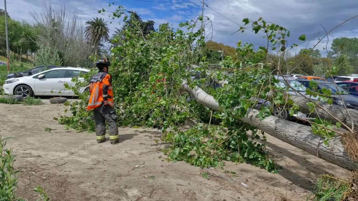 Activar seguros por lluvias y caída de árboles Activar seguros por lluvias y caída de árboles