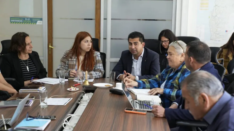 El Comité de Educación y Cultura del Consejo Regional analizó proyectos claves parpara la comuna limarina.