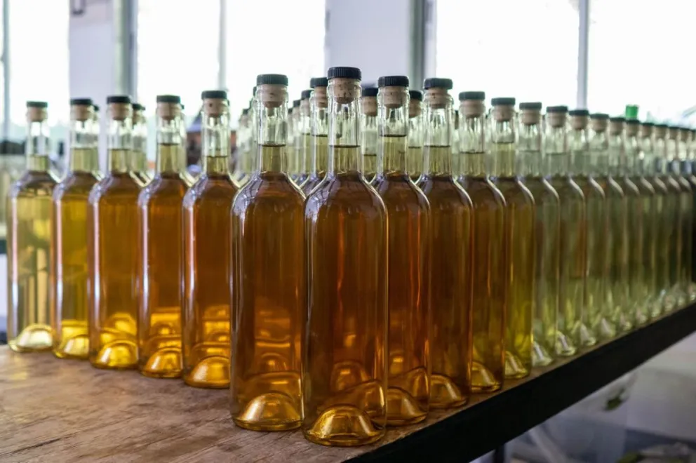 Pisco Chile impulsa gestiones junto a parlamentarios y autoridades para mantener el financiamiento destinado a la promoción internacional y protección de la Denominación de Origen en 2027.