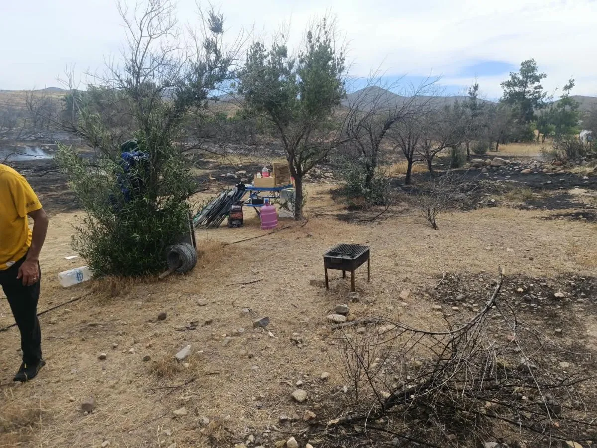 CONAF advierte temporada crítica de incendios tras siniestros ocurridos el fin de semana