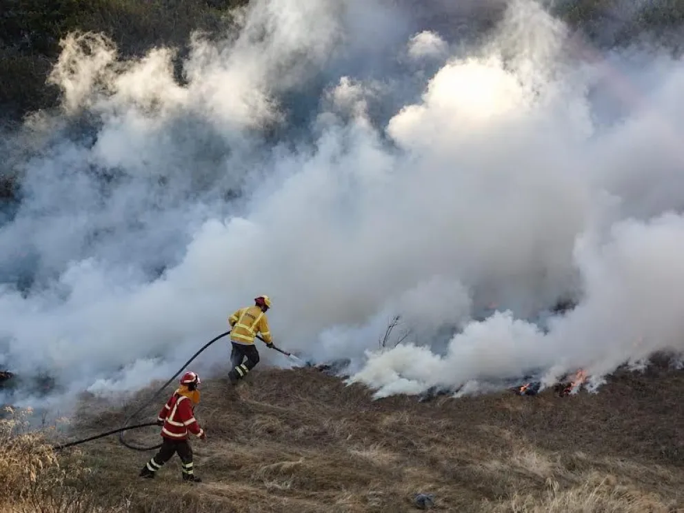 A la fecha, según los reportes de CONAF, se registran ocho incendios forestales, cifra que representa una disminución del 38% respecto del mismo periodo de la temporada anterior.