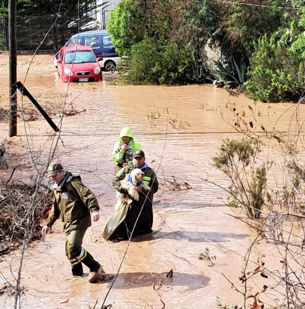 Durante las lluvias de julio en la Región de Coquimbo se realizaron varios rescates de mascotas por parte de carabineros 