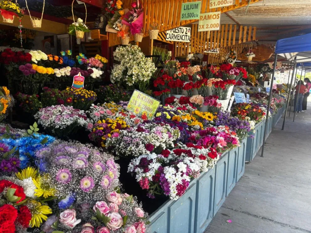 Floristas preparan sus arreglos y esperan un aumento de las ventas de cara al Día de Todos los Santos. (Foto: Cedida)