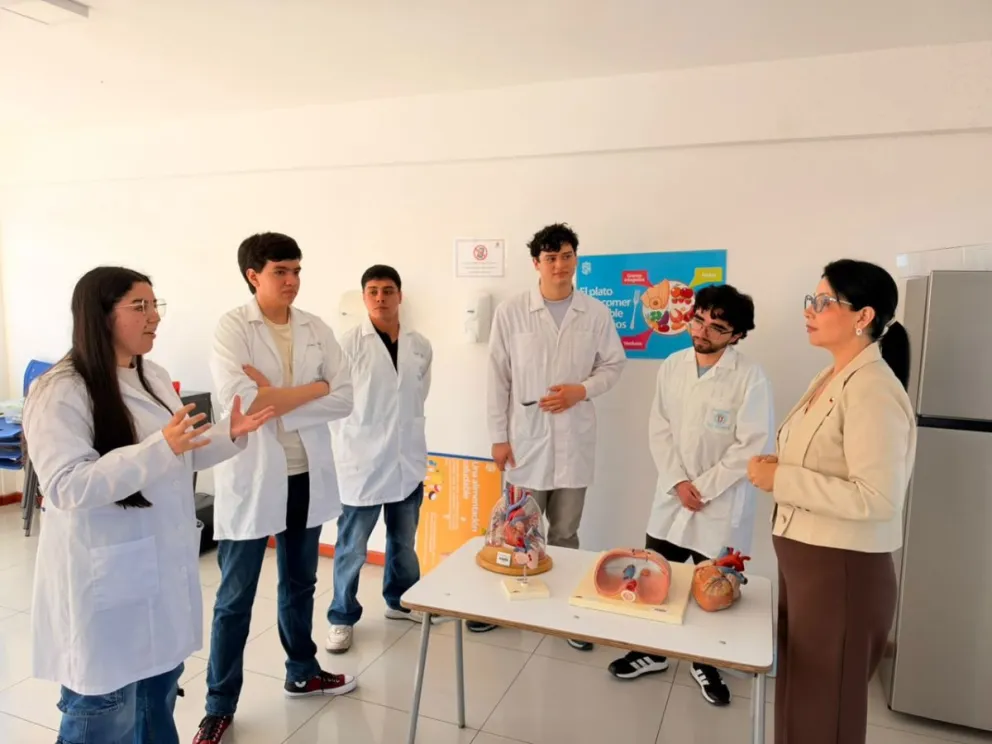 Los requisitos, plazos y condiciones para acceder a las becas deberán consultarse en las bases oficiales de la convocatoria, una vez que sean publicadas. (Foto: Cedida)